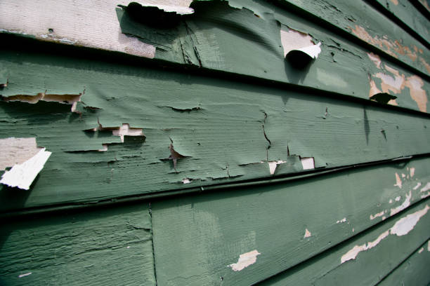 Best Siding Removal and Disposal  in Box Elder, SD